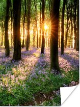 Poster - Bos - Natuur - Bloemen - Bos - Muurposter - Fotoposter - Wanddecoratie woonkamer - Muurdecoratie - Muurposters slaapkamer - 90x120 cm - Fotoposters - Kamer decoratie