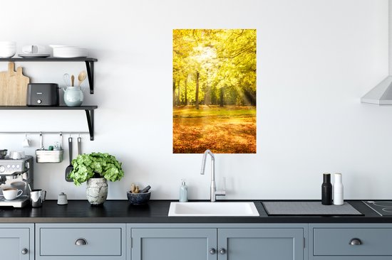 Affiche Arbre - Nature - Soleil - Paysage - Forêt - 60x90 cm