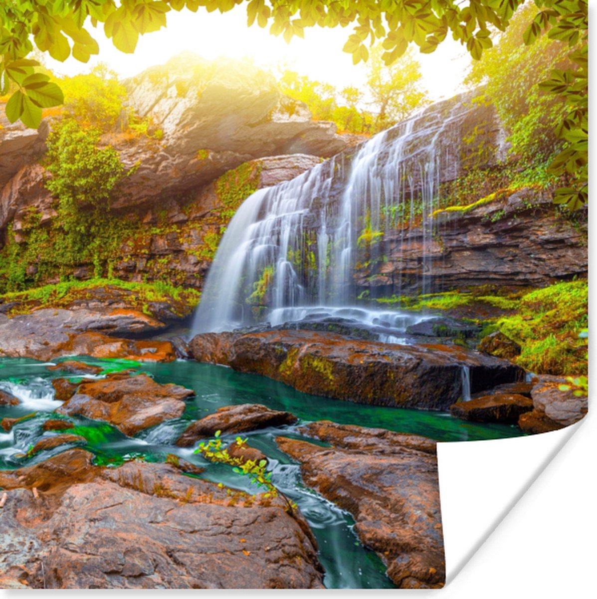 Poster Natuur - Waterval - Planten - Bomen - Zon - 75x75 cm