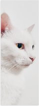 WallClassics - Poster (Mat) - Witte Kat op Witte Achtergrond - 30x90 cm Foto op Posterpapier met een Matte look