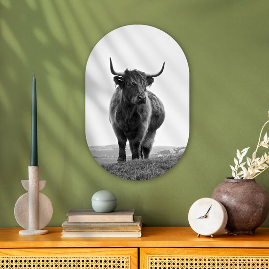 Ovale mural - Décoration murale murale en plastique - Peinture ovale - Animaux - Highlander écossais - Zwart et blanc - Nature - Rural - 40x60 cm - Forme miroir ovale sur plastique