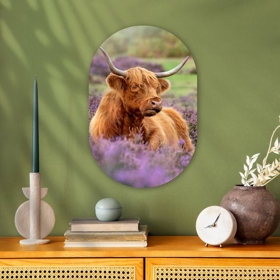 Wall Oval - Décoration murale Plastique - Peinture Ovale - Highlander écossais - Marron - Buissons - 40x60 cm - Forme miroir ovale sur plastique