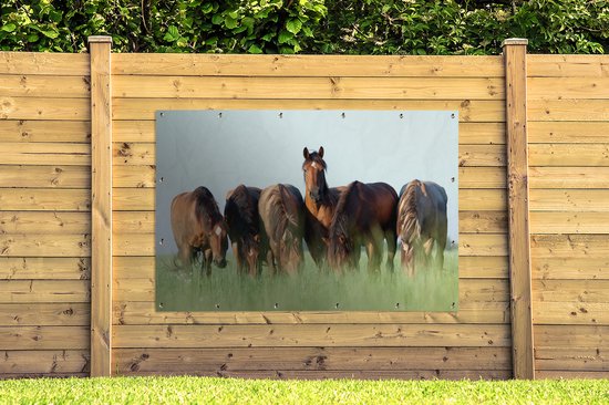 Décoration murale Paarden - Animaux - Herbe - Été - 180x120 cm - Poster jardin
