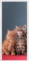 Deursticker Kittens - Blauw - Roze - Meisjes - Kinderen - Jongens - Kind - 85x205 cm - Deurposter