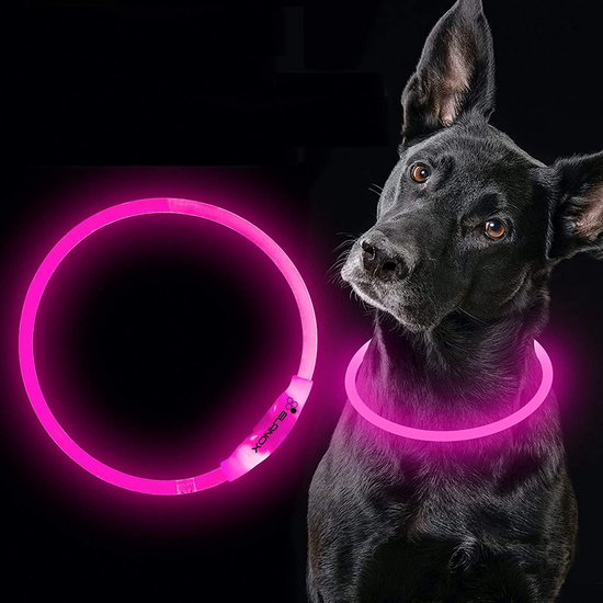 Honden licht Hondenhalsband met licht Hondenlicht Hond uitlaten Hondenlamp bol