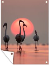 Tuinposter - Tuindoek - Tuinposters buiten - Vogel - Flamingo - Zonsondergang - Roze - 90x120 cm - Tuin