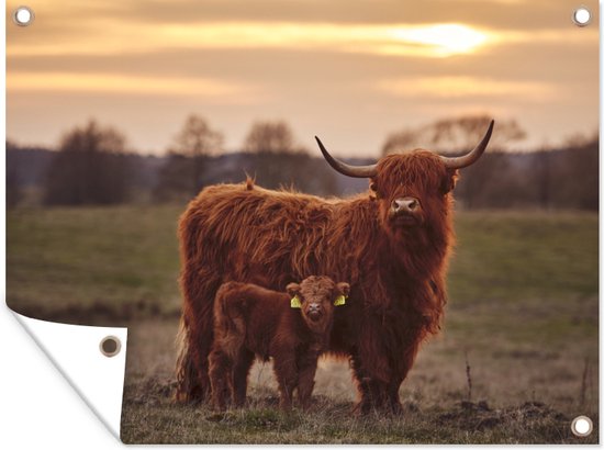 Foto: Muurdecoratie buiten schotse hooglander dieren landschap zonsondergang koe 160x120 cm tuindoek buitenposter