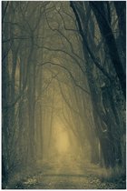 WallClassics - Poster Glanzend – Mist op Bospad Omringd door Bomen - 50x75 cm Foto op Posterpapier met Glanzende Afwerking