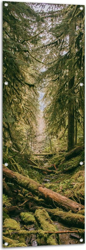 WallClassics - Tuinposter – Omgevallen Groene Bomen - 50x150 cm Foto op Tuinposter  (wanddecoratie voor buiten en binnen)