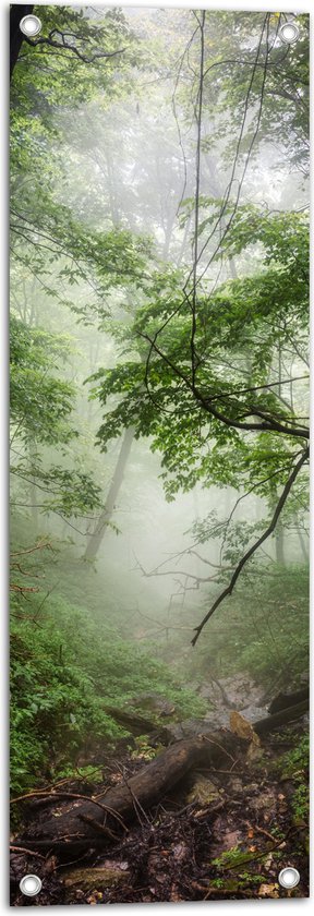 WallClassics - Tuinposter – Mist tussen Groene Bomen - 30x90 cm Foto op Tuinposter  (wanddecoratie voor buiten en binnen)