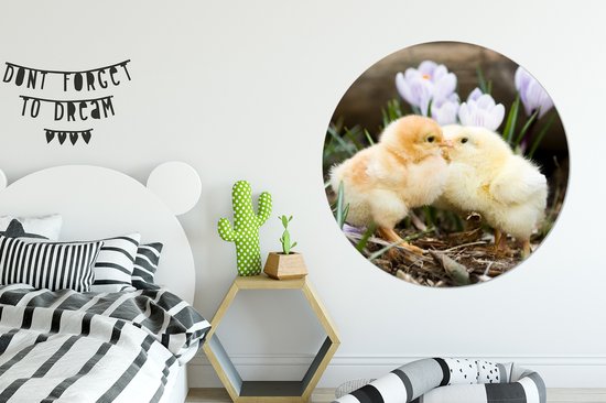 Deux poussins jaunes kussen pour quelques fleurs Cercle mural aluminium ⌀ 120 cm - tirage photo sur cercle mural / cercle vivant / cercle jardin (décoration murale) XXL / Groot format!