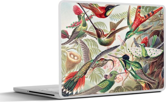 Foto: Laptop sticker 15 6 inch kolibrie vintage ernst haeckel vogel kunst natuur 36x27 5cm laptopstickers laptop skin cover