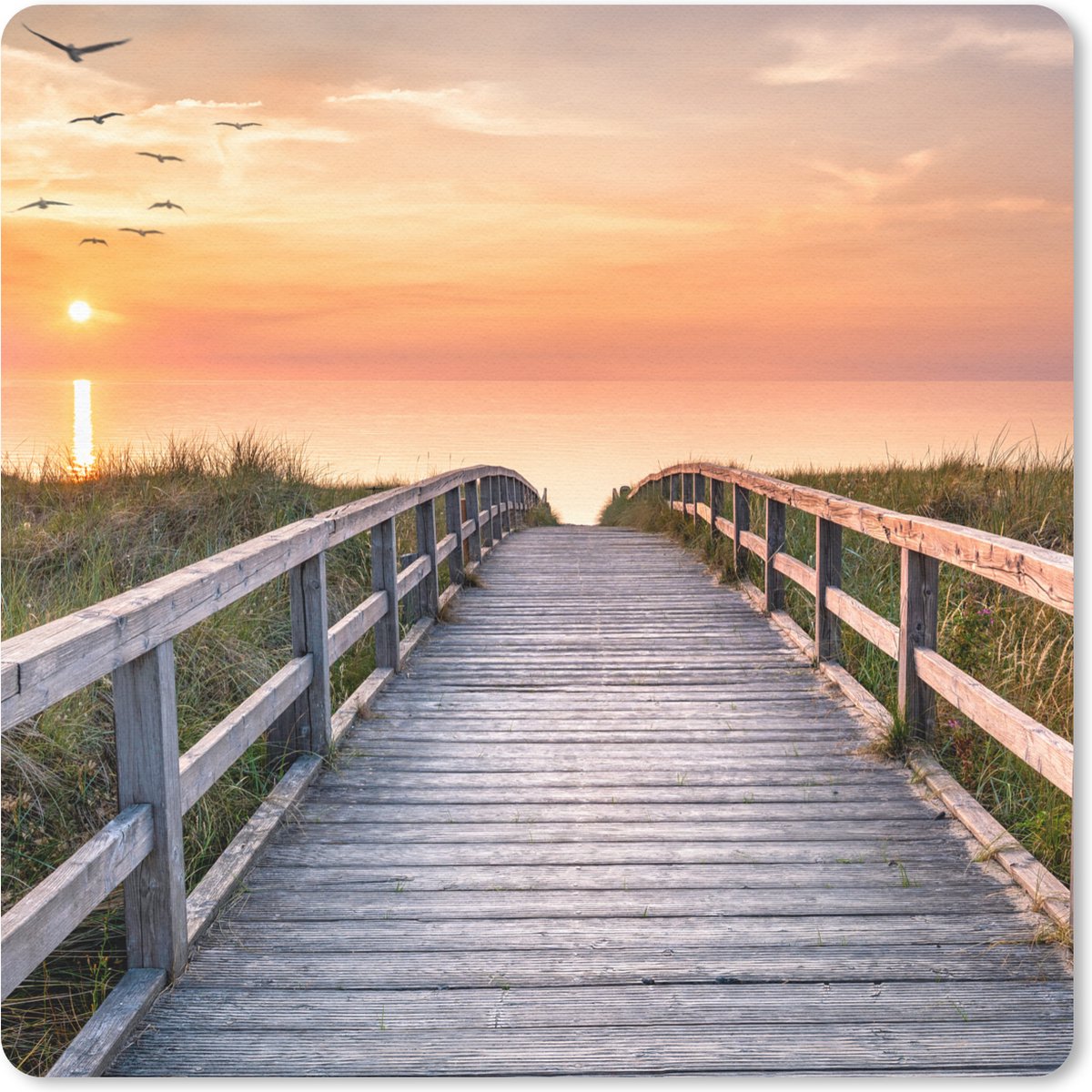 Muismat 30x30 cm - Mousepad Zonsonderang - Zee - Pad - Gras - Duin - Vogels - Muismatten