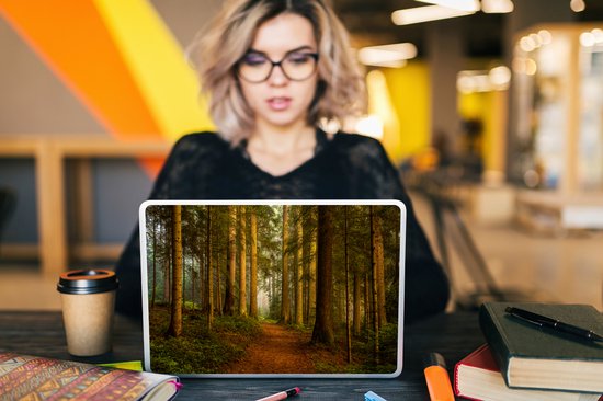 Autocollant pour ordinateur portable - 13,3 pouces - Forêt - Nature - Arbres - Paysage - Feuilles - 31x22,5 cm - Autocollants pour ordinateur portable - Skin pour ordinateur portable - Housse