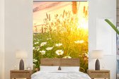 Behang - Fotobehang Bloemen - Madelief - Natuur - Zon - Horizon - Breedte 225 cm x hoogte 350 cm