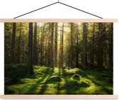 Posterhanger incl. Poster 120x80 cm - Schoolplaat - Bomen - Bos - Mos - Planten - Zon - Natuur - Textielposter - Blanke latten