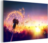 Wanddecoratie Metaal - Aluminium Schilderij Industrieel - Paardenbloem - Bloemen - Zonsondergang - Horizon - Nacht - 150x100 cm - Dibond - Foto op aluminium - Industriële muurdecoratie - Voor de woonkamer/slaapkamer