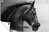 Tuindecoratie Paarden - Zwart - Portret - Dieren - 60x40 cm - Tuinposter - Tuindoek - Buitenposter
