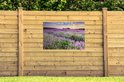 Een tuinposter van een paarse lavendelweide bij zonsondergang, bevestigd aan een lichte houten schutting met gras.