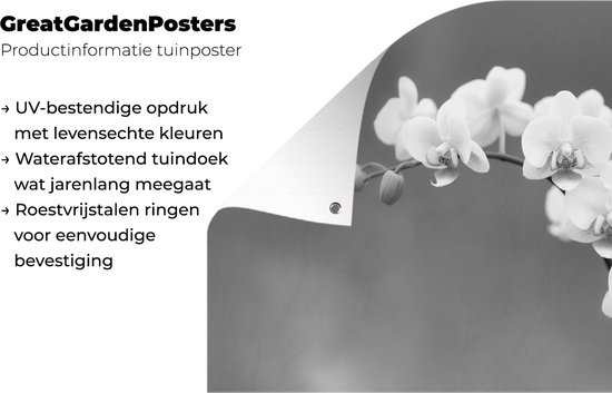 Décoration de jardin Orchidée - Fleurs - Plante - Wit - Violet - 60x40 cm - Poster jardin - Toile jardin - Poster extérieur