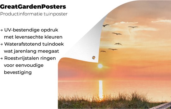 Affiche clôture Coucher de soleil - Mer - Chemin - Herbe - Dune - Vogels - 100x200 cm - Toile jardin