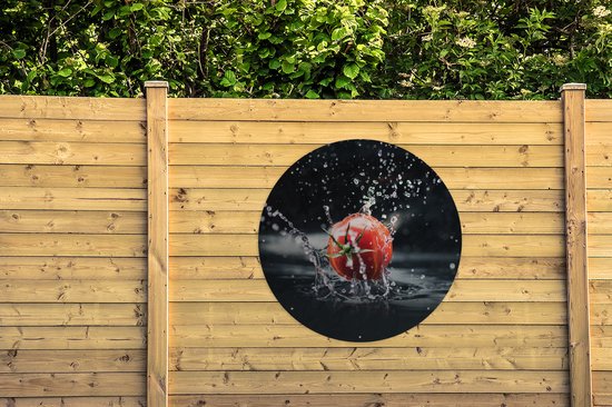 Tuincirkel Tomaat - Groente - Stilleven - Water - Rood - 120x120 cm - Ronde Tuinposter - Buiten