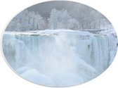 WallClassics - PVC Schuimplaat Ovaal - Witte Winter Waterval - 28x21 cm Foto op Ovaal  (Met Ophangsysteem)