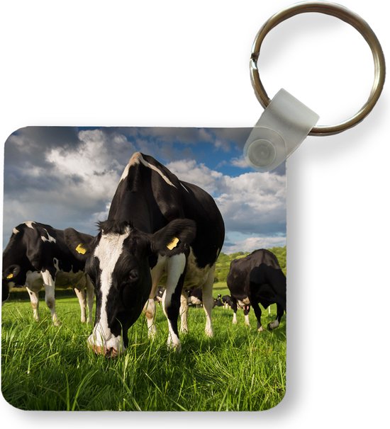 Sleutelhanger - Uitdeelcadeautjes - Koeien - Dieren - Gras - Weiland - Boerderij - Plastic