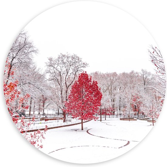WallClassics - PVC Schuimplaat Muurcirkel - Rode Boom in Witte Sneeuw - 100x100 cm Foto op Muurcirkel (met ophangsysteem)