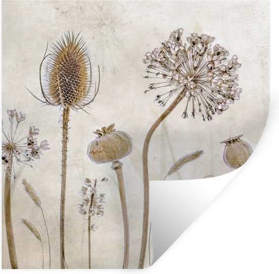 Stickers muraux - Sticker Foil - Fleurs - Aquarelle - Nature Morte - Marron - Vintage - 30x30 cm - Film Adhésif - Stickers muraux Muraux Chambre Enfant - Papier Peint Auto Adhésif