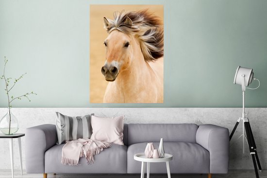 Affiche Paarden - Animaux - Crinières - Portrait - 90x120 cm