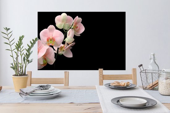 Stickers muraux Muraux - Feuille Autocollant - Orchidée - Fleurs - Rose - Nature Morte - Flora - 90x60 cm - Film Adhésif - Stickers muraux Chambre Enfant - Papier Peint Auto Adhésif