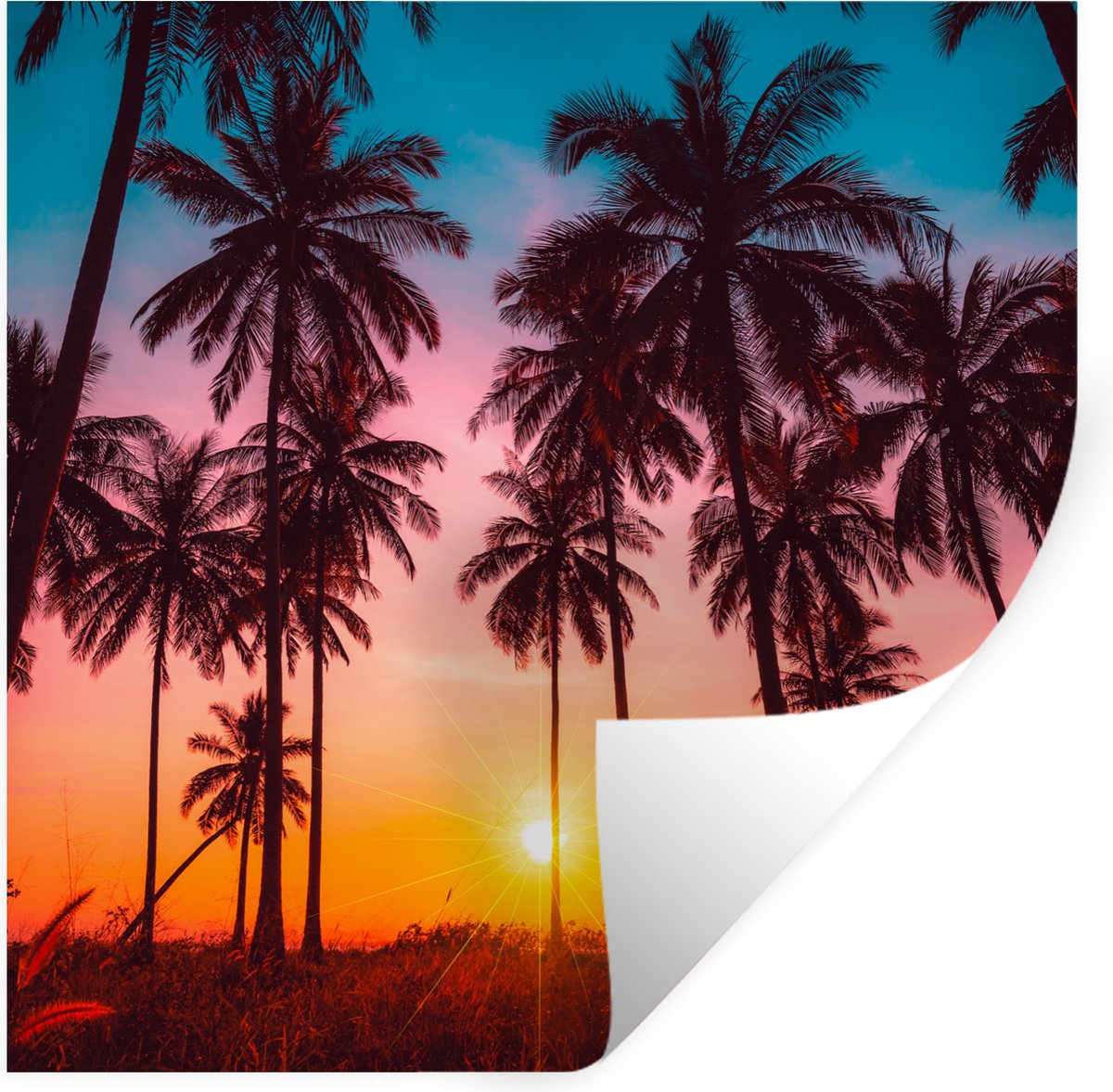 Muurstickers - Sticker Folie - Palmboom - Zonsondergang - Horizon - Strand - Oranje - Roze
