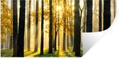 Stickers muraux - Sticker Feuille - Forêt - Soleil - Arbres - Herbe - Paysage - Nature - 120x60 cm - Film Adhésif - Stickers muraux Chambre d'Enfant - Papier Peint Auto Adhésif