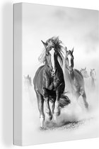 Canvas Schilderij Paarden - Dieren - Illustratie - 60x80 cm - Wanddecoratie