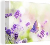 Canvas Schilderij Lavendel - Vlinder - Bloemen - 120x90 cm - Wanddecoratie