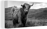Tableau sur toile Scottish Highlander - Berg - Water - Nature - Vache - 160x80 cm - Décoration murale