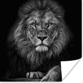 Affiche Lion - Animaux - Zwart - Wit - 30x30 cm