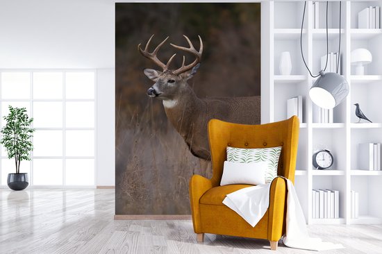 Behang - Fotobehang Herfst - Hert - Gras - Natuur - Dieren - Breedte 225 cm x hoogte 350 cm