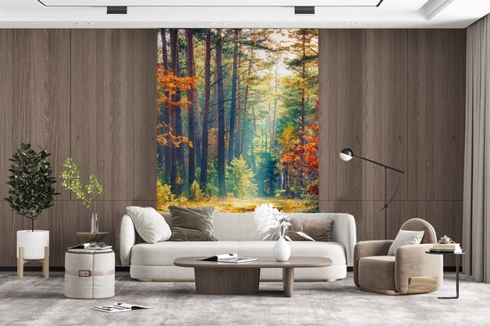 Behang - Fotobehang Bos - Zon - Natuur - Herfst - Breedte 225 cm x hoogte 350 cm