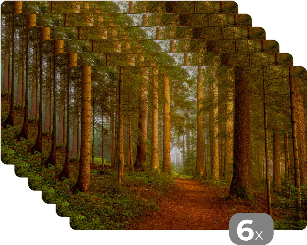Placemat - Placemats kunststof - Bos - Natuur - Bomen - Landschap - Bladeren - 45x30 cm - 6 stuks - Hittebestendig - Anti-Slip - Onderlegger - Afneembaar