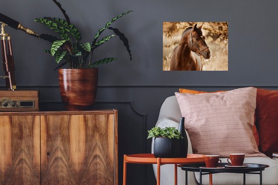 Stickers muraux - Sticker Foil - Cheval - Soleil - Portrait - Nature - Marron - 40x30 cm - Film Adhésif - Stickers muraux Chambre Enfant - Papier Peint Autocollant