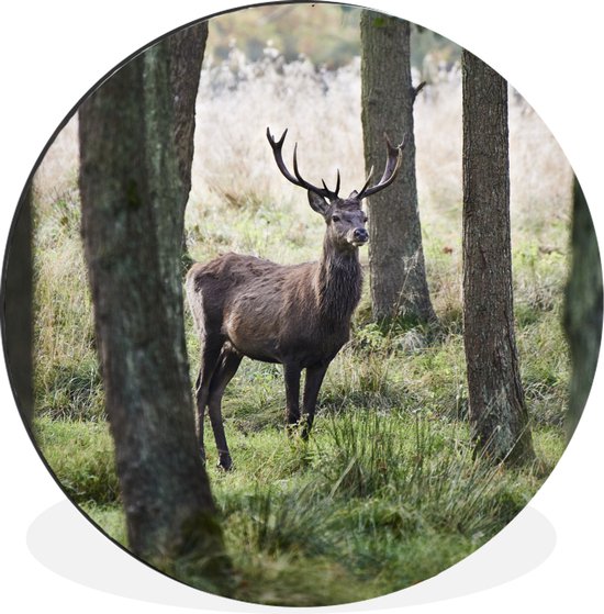 Wandcirkel - Muurcirkel - Hert - Bomen - Gras - Aluminium - ⌀ - Binnen en Buiten