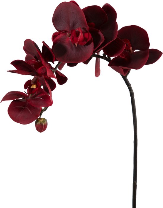 SYDDOL 17 inch Kunstorchidee Bloemen in Pot Zen Decoratieve Bonsai Real Touch Faux Orchidee Bloemen met Keramische Pot voor Tafel Centerpieces Thuis SYDDOL 17 inch Kunstorchidee Bloemen in Pot Zen Decoratieve Bonsai Real Touch Faux Orchidee Bloemen met Keramische Pot voor Tafel Centerpieces Thuis