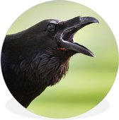 Représentation d'un corbeau qui chante Assiette en plastique cercle mural ⌀ 150 cm XXL / Groot format!