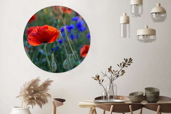 WallCircle - Cercle mural - Cercle mural - Coquelicots colorés aux Nederland - Aluminium - Dibond - 120x120 cm - Intérieur et extérieur XXL
