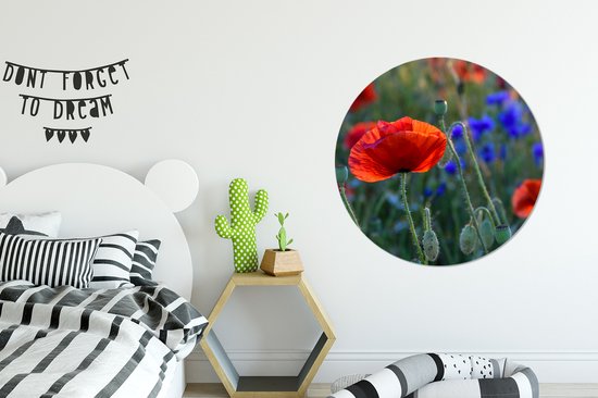 WallCircle - Stickers muraux - Cercle de papier peint - Coquelicots colorés aux Pays- Nederland - 100x100 cm - Cercle mural - Auto-adhésif - Sticker papier peint rond XXL