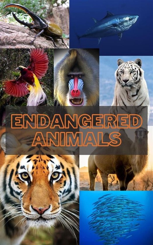 Critically Endangered Animals (ebook), Murray Liam 9791222025612