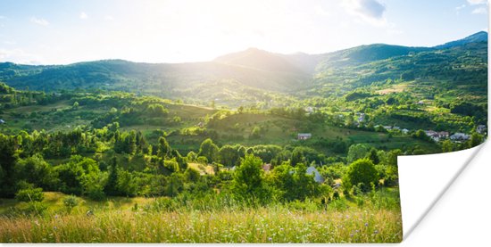 Poster Bos - Landschap - Zon - Natuur - Zonsopgang - 80x40 cm