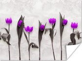 Poster Bloemen - Tulpen - Paars - 120x90 cm